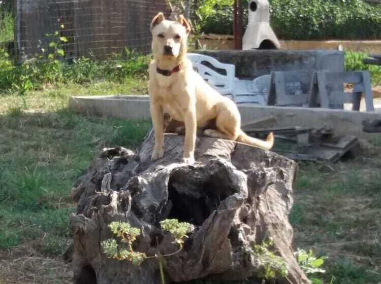 ベッドアンドブレックファースト L Arcadia