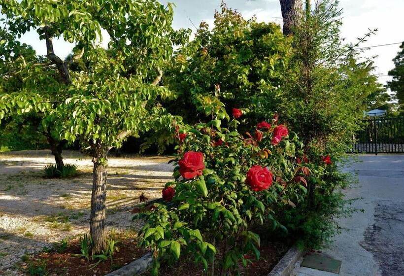 تختخواب و صبحانه Villa Pesce