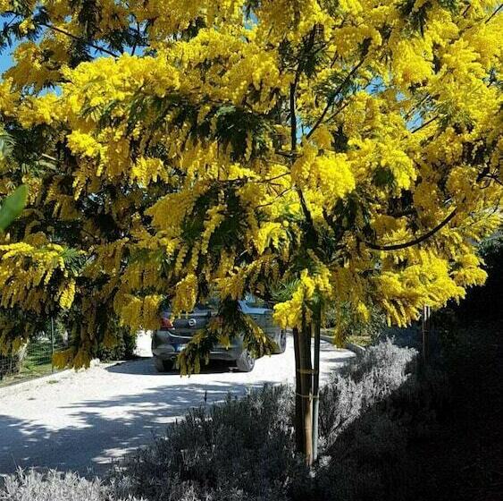 בית מלון כפרי Agriturismo Giulia Be