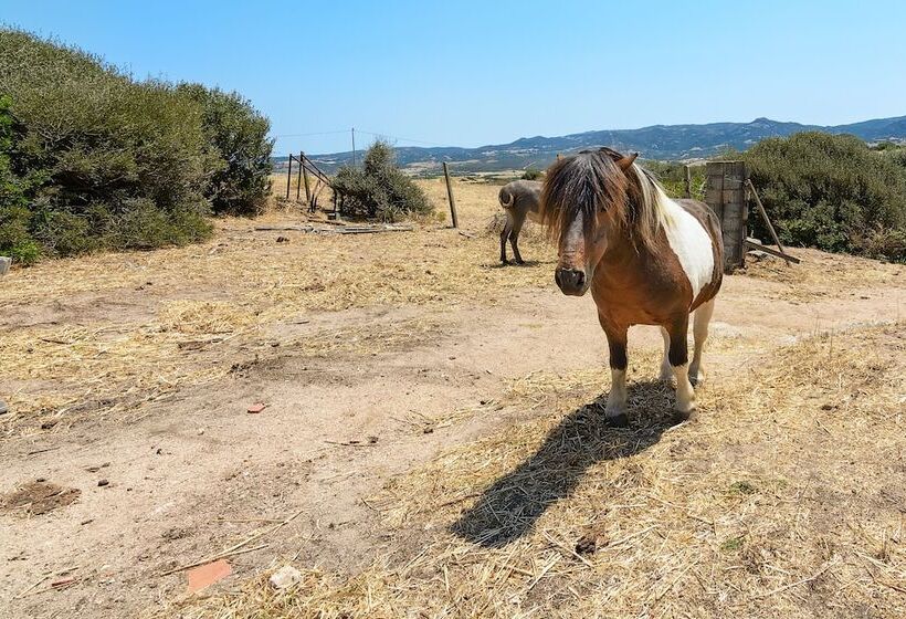 교외 호텔 Agriturismo Lu Nodu