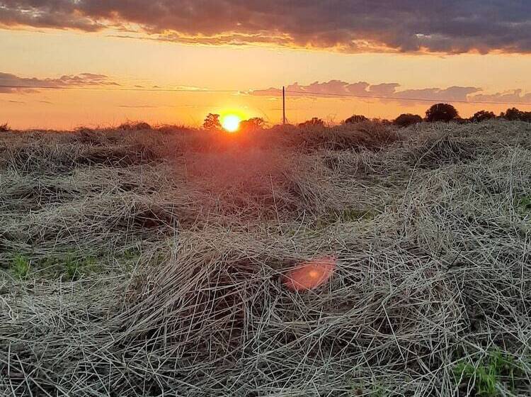 هتل روستایی Corte Davini Agriturismo