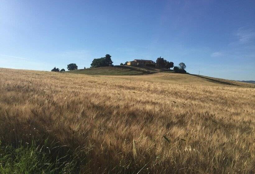 فندق ريفى Poggio Alla Pietra 26