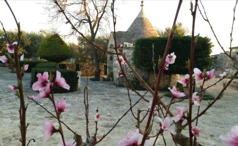 Agriturismo Regno Di Marzagaglia