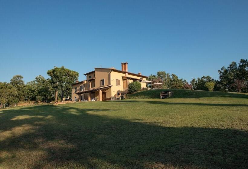 B&b Casalisa