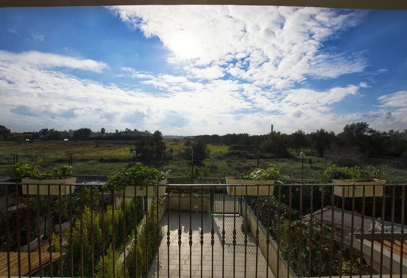 Casa Borgo Regina B&b  Bari Puglia Apartments