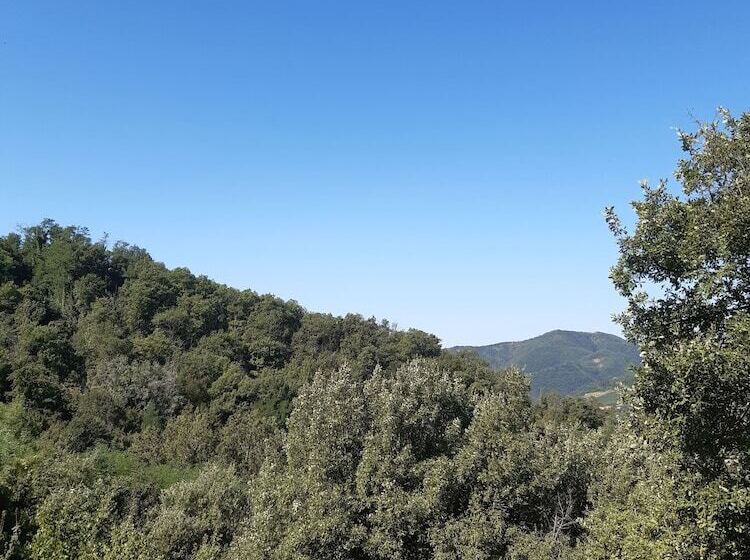 فندق فئة نجمة واحدة Country Residence Turicchi