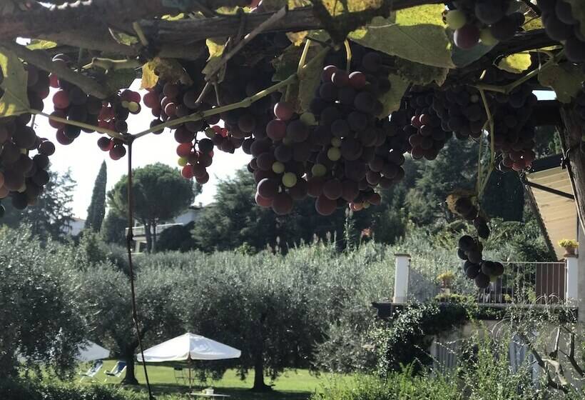 Сельский отель Agriturismo Il Cardo