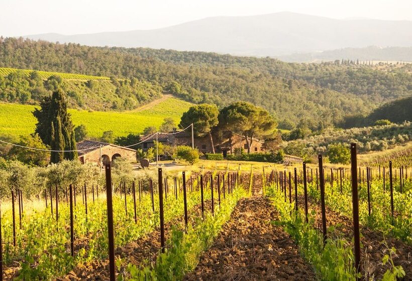 교외 호텔 Agriturismo Ricudda