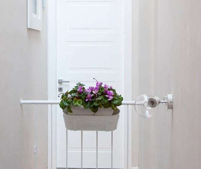 Le Fontanelle B&b