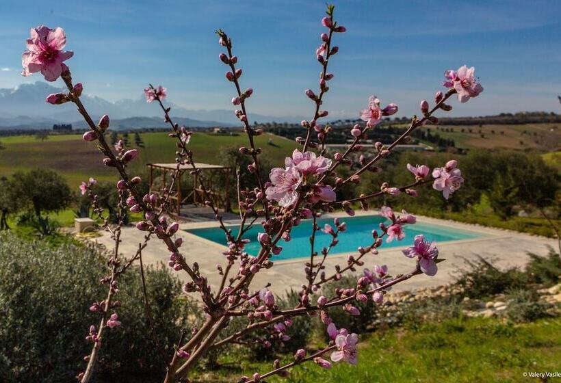 پانسیون B&b Torre Dell Angelo