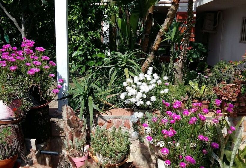 پانسیون Garden