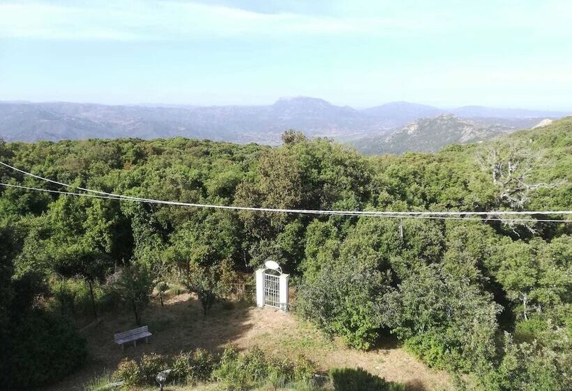 تختخواب و صبحانه Casa Solotti