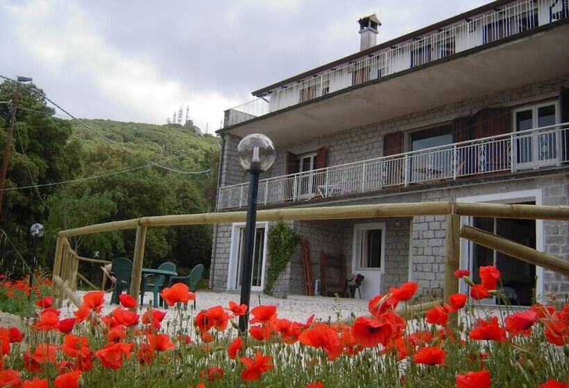 تختخواب و صبحانه Casa Solotti