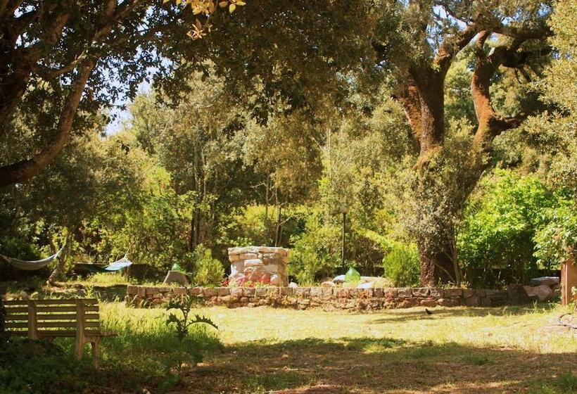 تختخواب و صبحانه Casa Solotti