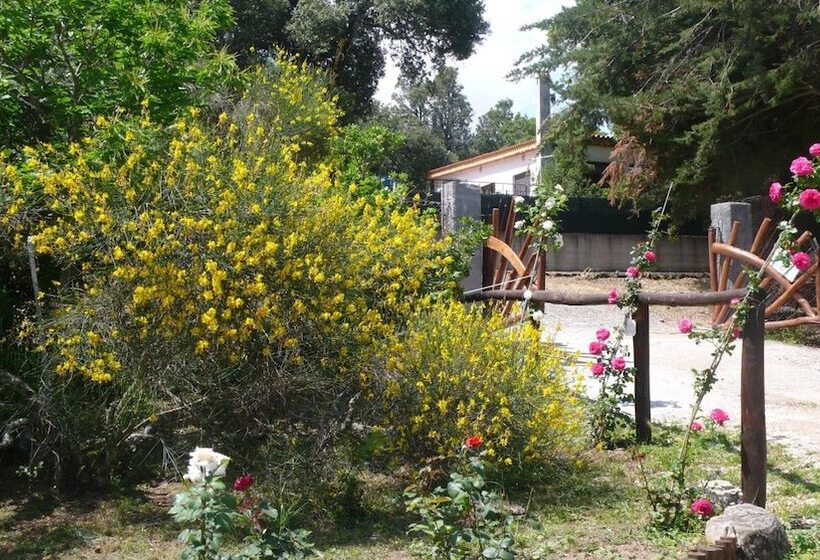 تختخواب و صبحانه Casa Solotti