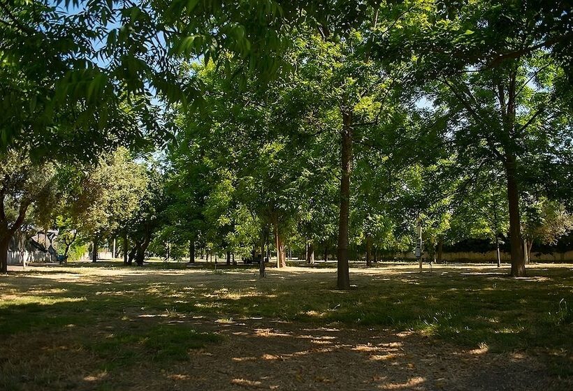 هتل Camping Almoetia