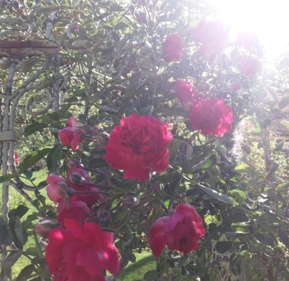 هتل روستایی Agriturismo Cà Del Lupo