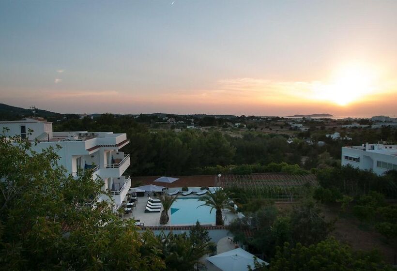 Apartamentos Sunset Oasis Ibiza   Only Adults