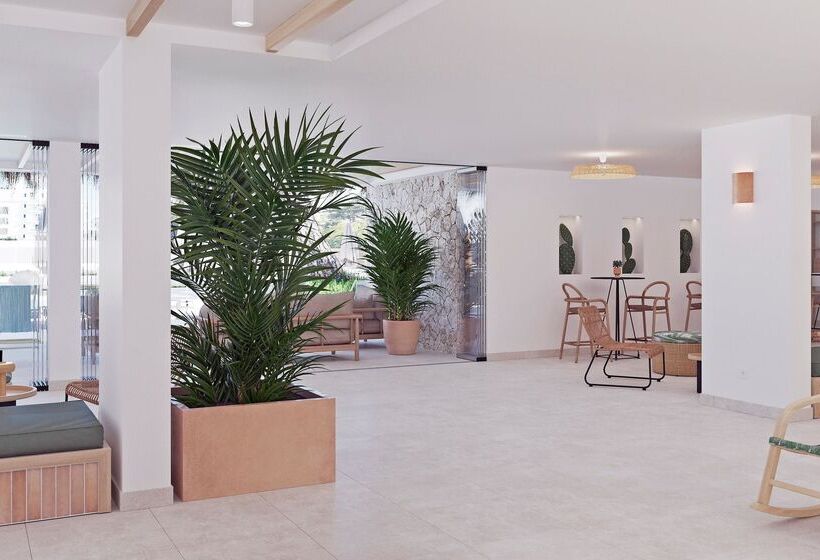 Fotos del hotel Hsm Venus Playa:  36