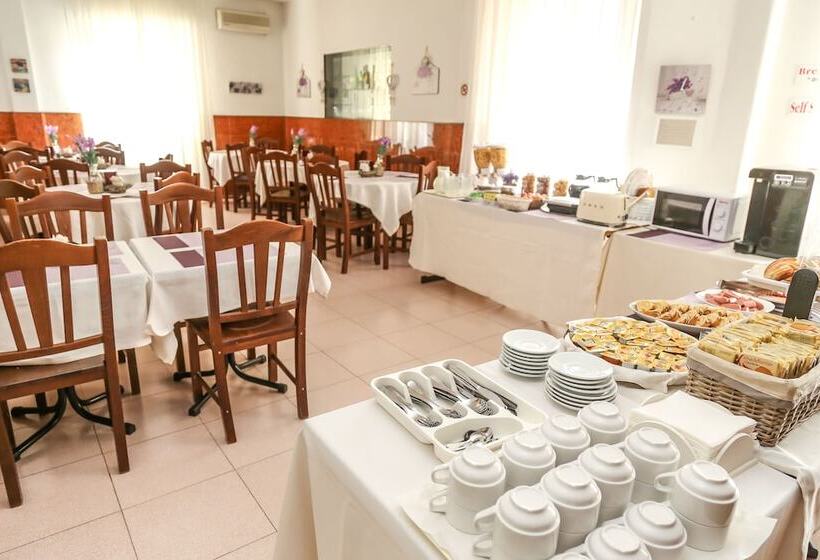 Fotos del hotel Albergo Athena:  21