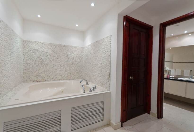 Fotos del hotel Boutique Hotel Palacio:  10