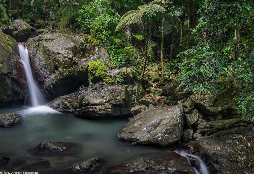 استراحتگاه Hyatt Regency Grand Reserve Puerto Rico