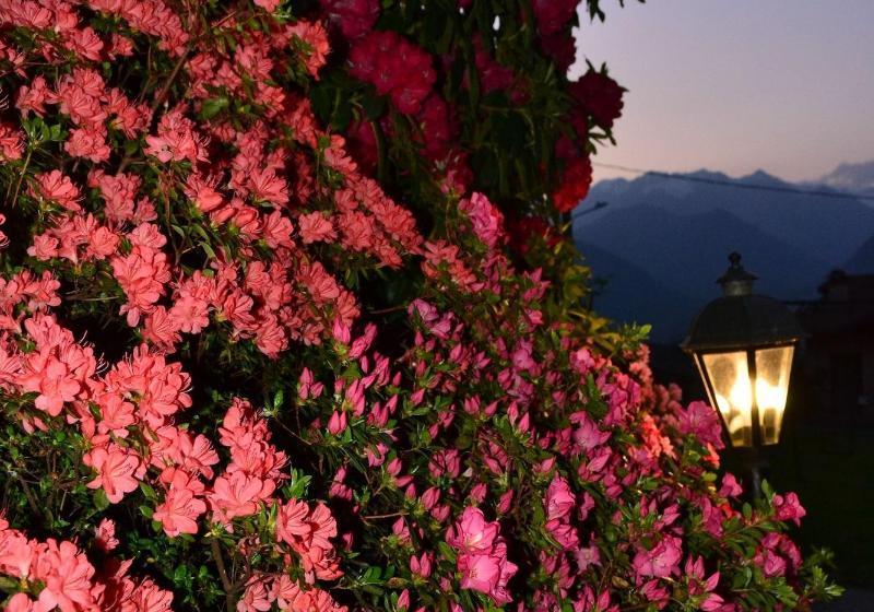 Bed and Breakfast Foresteria Villa Simona