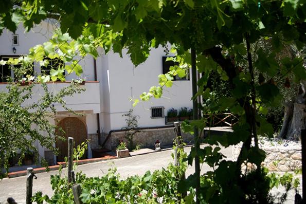 تختخواب و صبحانه Agriturismo Parcodainonni