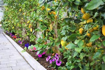 تختخواب و صبحانه Casa Fiorita