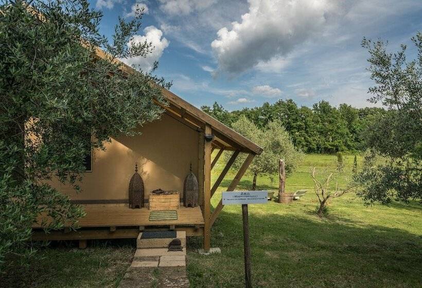 ホテル Bio Glamping Toscana Luxury Tents