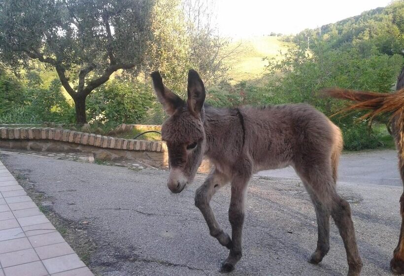 فندق ريفى Agriturismo La Vecchia Fontana