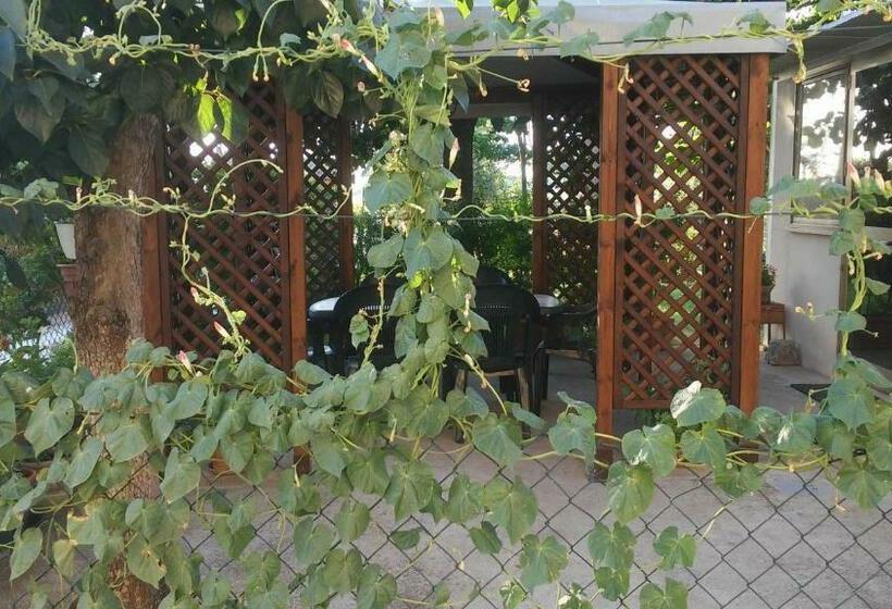 بنسيون Camere Rosignoli