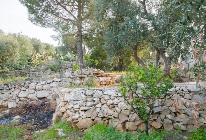 ペンション Guesthouse Villa Ilios