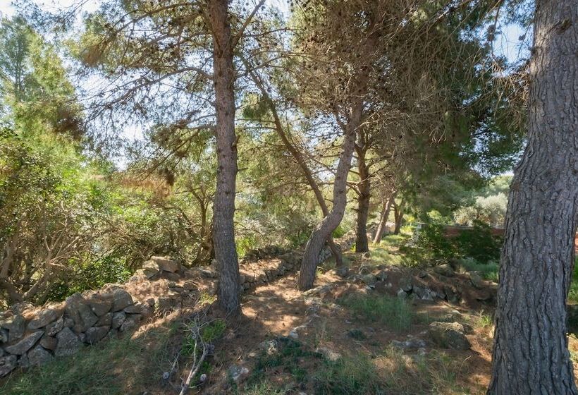 ペンション Guesthouse Villa Ilios