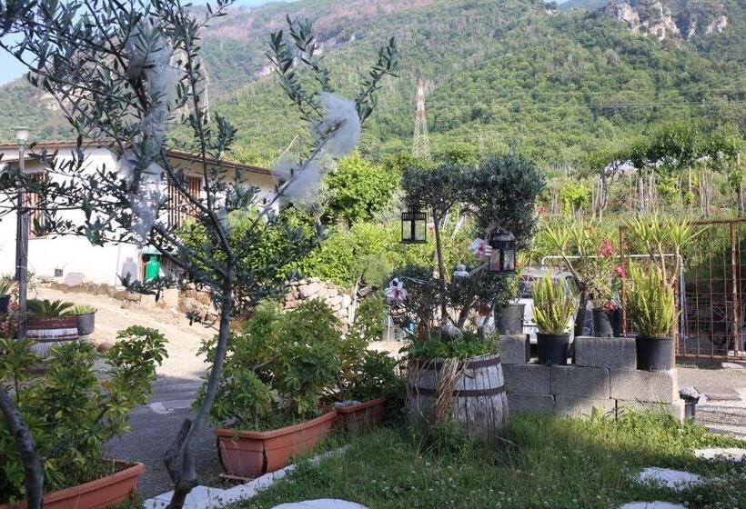 مبيت وإفطار Annabella S Country House