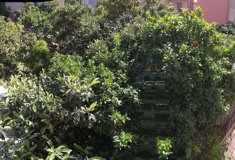 تختخواب و صبحانه Casa Di Angela