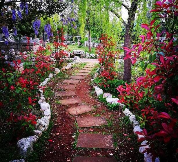 צימר Masseria Borgo Del Gallo