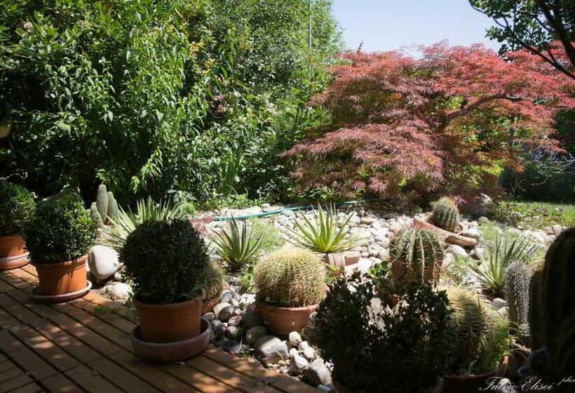 تختخواب و صبحانه Teapot House