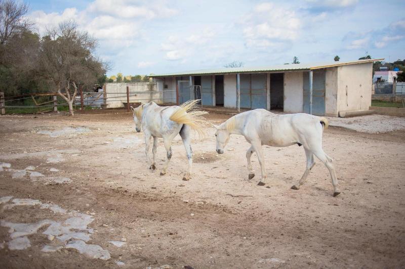 Agriturismo Solicara