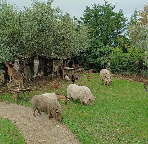 تختخواب و صبحانه Fattoria La Tana Della Volpe