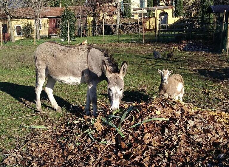 Cascina Corteprimavera, B&b Del Baliot