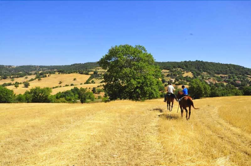 Country House Poggio Aione