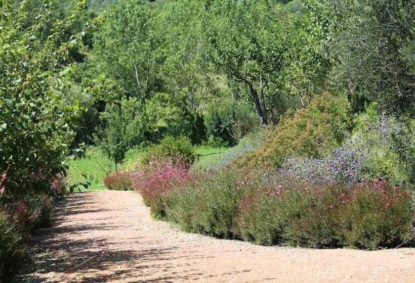 בית מלון כפרי Podere Della Bruciata B&b