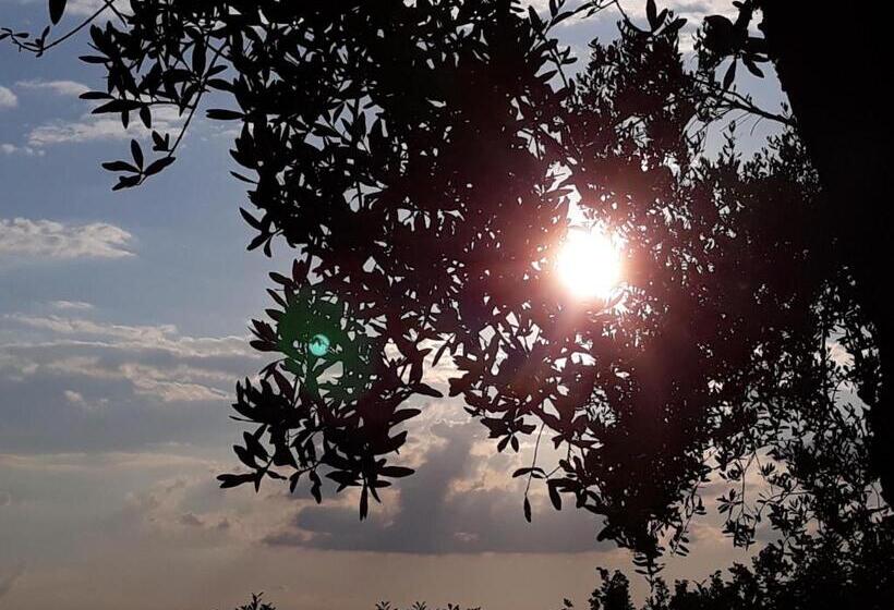 膳宿费 L Orto Sul Poggio