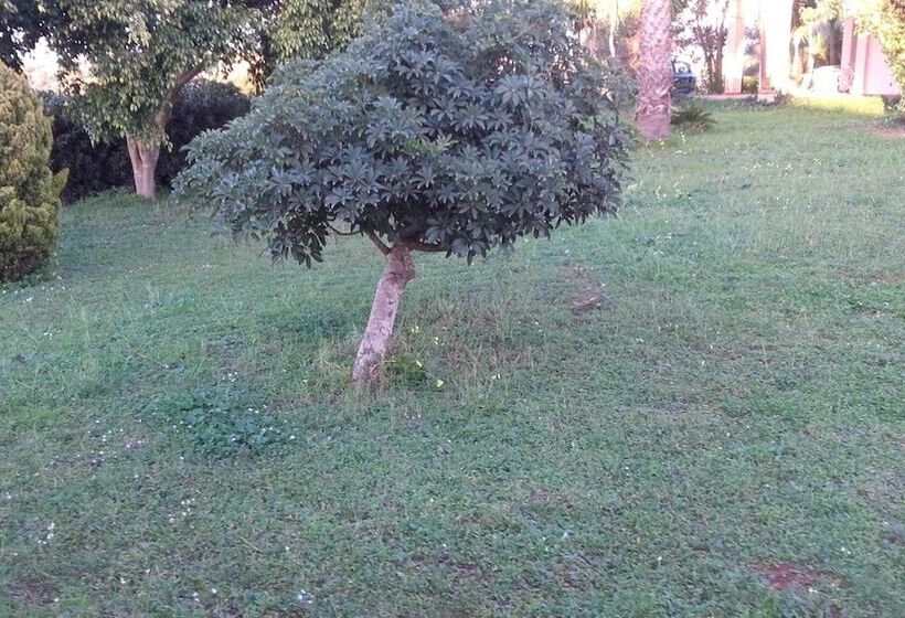 تختخواب و صبحانه Stella Dei Venti