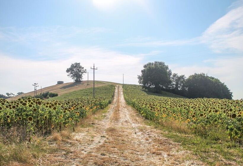 فندق ريفى La Viola E Il Sole