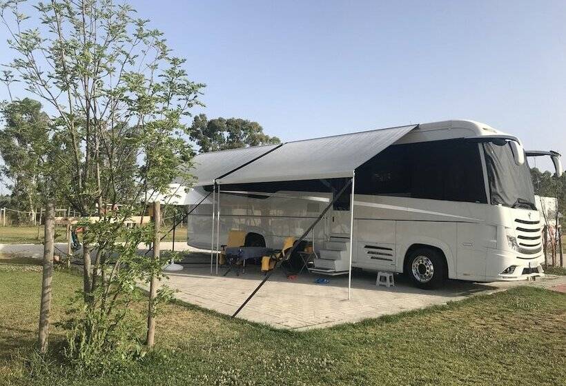 Отель Vento Etrusco   Camping