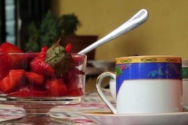 Mi Casa Tu Casa Bed & Breakfast