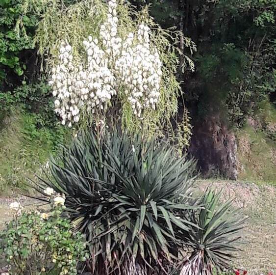 B&b Oasi Verde