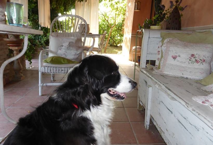 Gli Olmi B&b